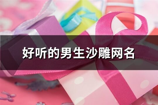 好听的男生沙雕网名(658个)