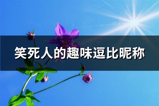 笑死人的趣味逗比昵称(共296个)