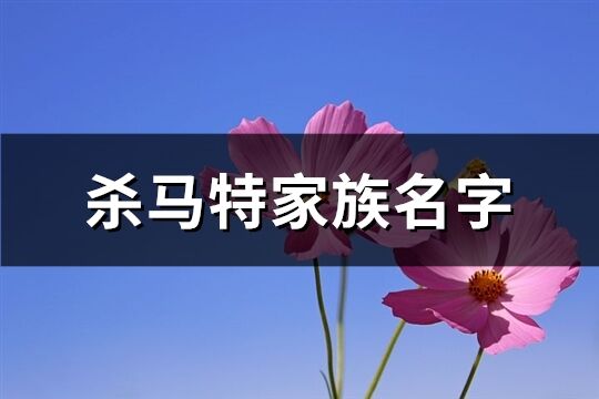 杀马特家族名字(共224个)