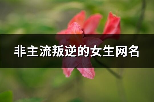 非主流叛逆的女生网名(精选68个)