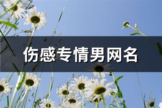 伤感专情男网名(共265个)