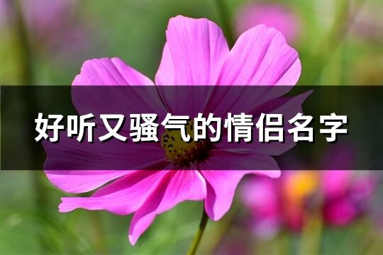 好听又骚气的情侣名字(329个)