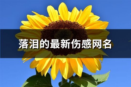 落泪的最新伤感网名(共506个)