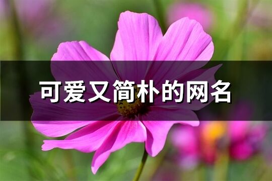 可爱又简朴的网名(共754个)