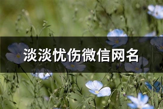 淡淡忧伤微信网名(精选123个)