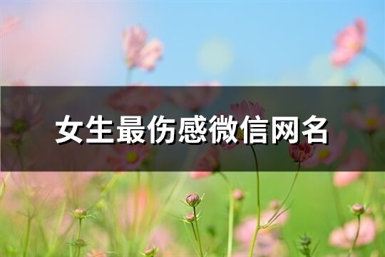 女生最伤感微信网名(精选230个)