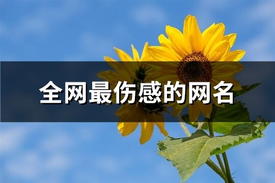 全网最伤感的网名(精选314个)