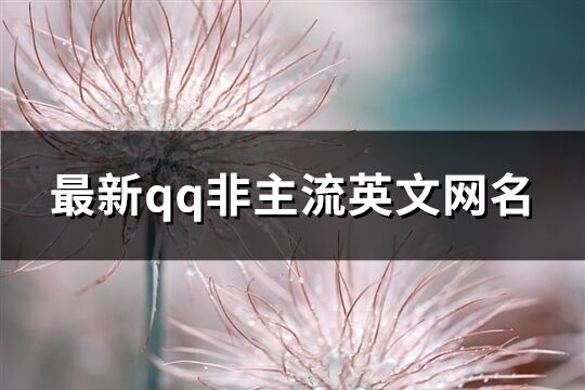 最新qq非主流英文网名(精选100个)