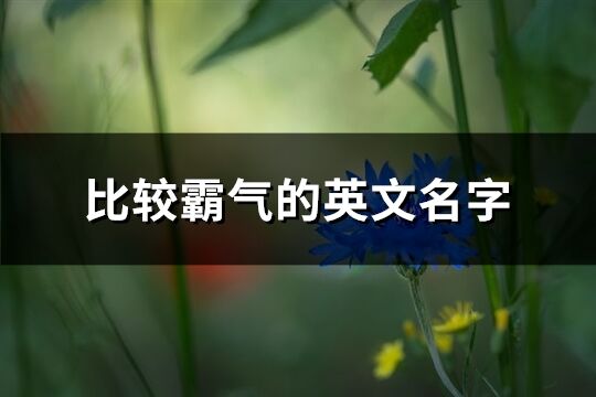 比较霸气的英文名字(共210个)