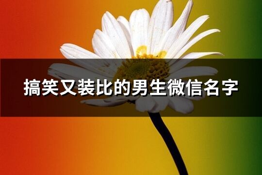 搞笑又装比的男生微信名字(精选279个)