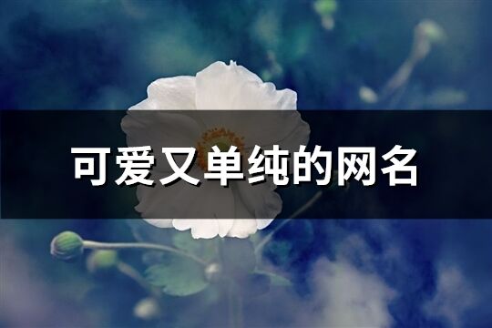 可爱又单纯的网名(精选549个)