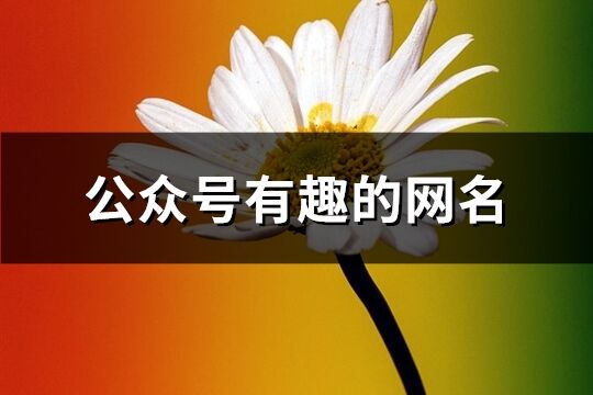 公众号有趣的网名(共438个)