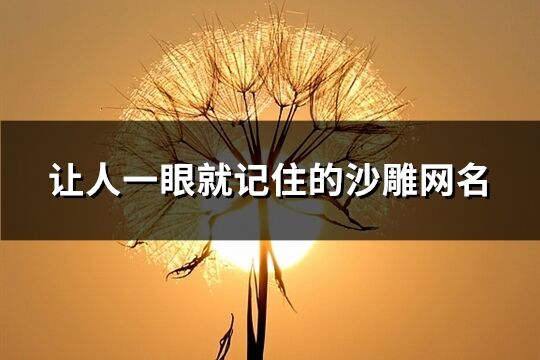 让人一眼就记住的沙雕网名(精选189个)