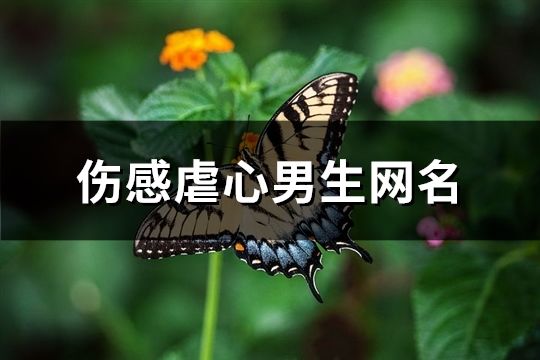 伤感虐心男生网名(102个)