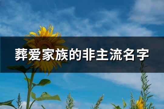 葬爱家族的非主流名字(236个)