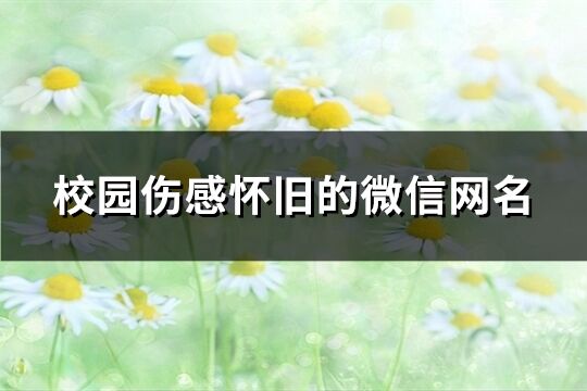 校园伤感怀旧的微信网名(精选740个)