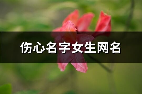 伤心名字女生网名(精选226个)