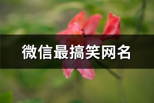 微信最搞笑网名(共237个)