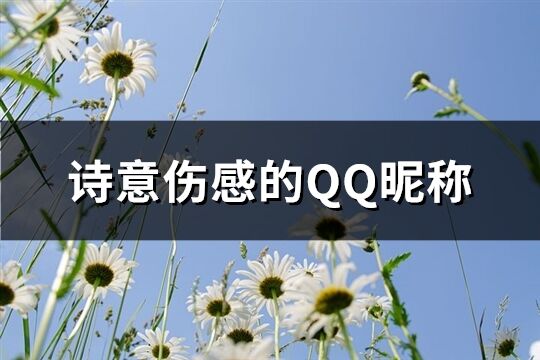 诗意伤感的QQ昵称(精选106个)