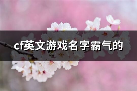 cf英文游戏名字霸气的(共95个)