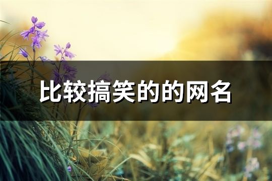 比较搞笑的的网名(595个)