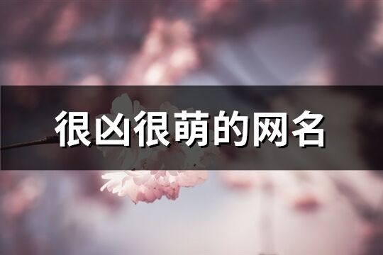 很凶很萌的网名(精选236个)