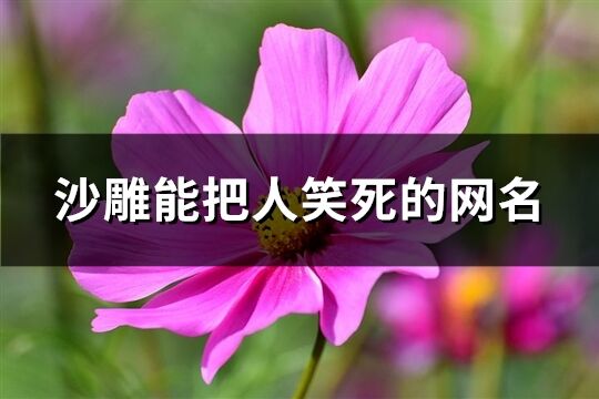 沙雕能把人笑死的网名(精选270个)