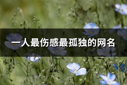 一人最伤感最孤独的网名(共252个)