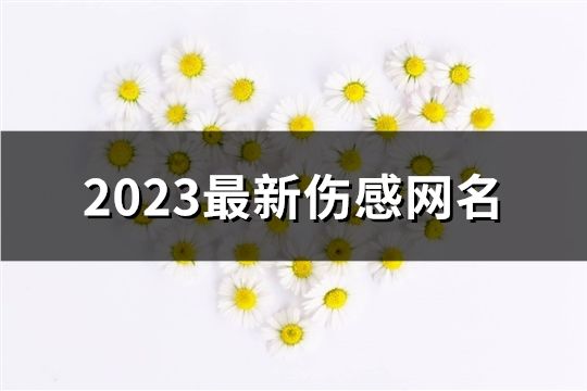 2023最新伤感网名(精选194个)