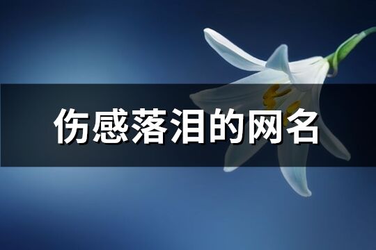 伤感落泪的网名(共64个)