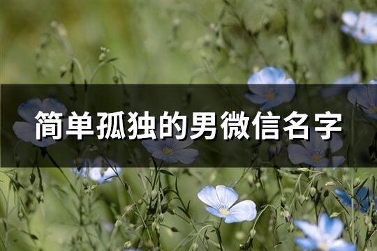 简单孤独的男微信名字(精选292个)