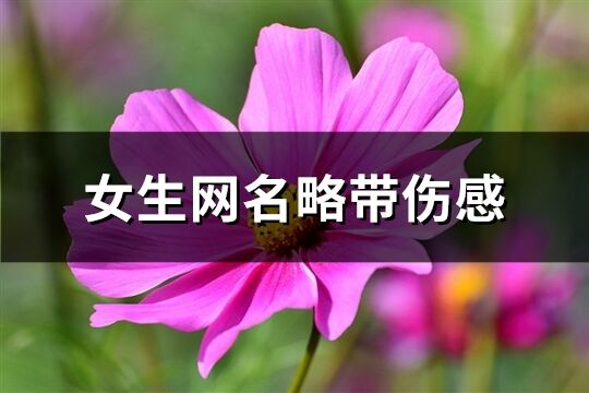 女生网名略带伤感(共301个)