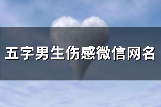 五字男生伤感微信网名(共125个)