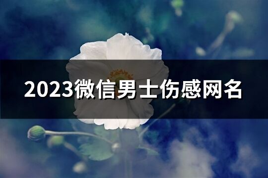 2023微信男士伤感网名(438个)