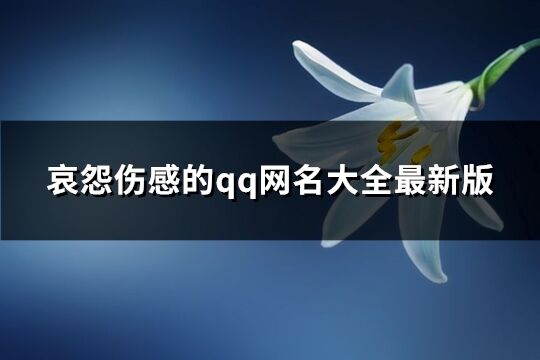 哀怨伤感的qq网名大全最新版(共381个)