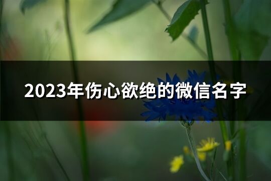 2023年伤心欲绝的微信名字(精选470个)