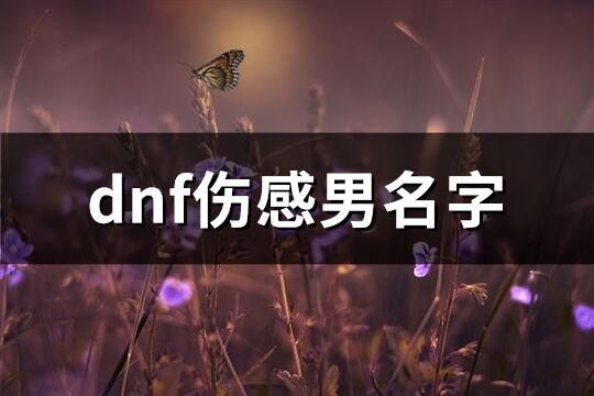 dnf伤感男名字(156个)