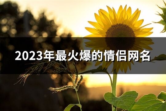 2023年最火爆的情侣网名(274个)