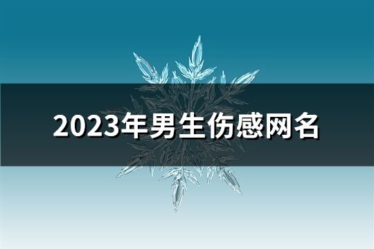 2023年男生伤感网名(共696个)