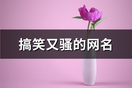 搞笑又骚的网名(共155个)