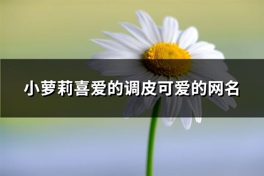 小萝莉喜爱的调皮可爱的网名(优选240个)