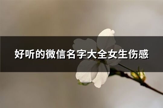 好听的微信名字大全女生伤感(共116个)