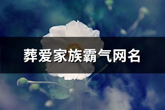 葬爱家族霸气网名(共102个)