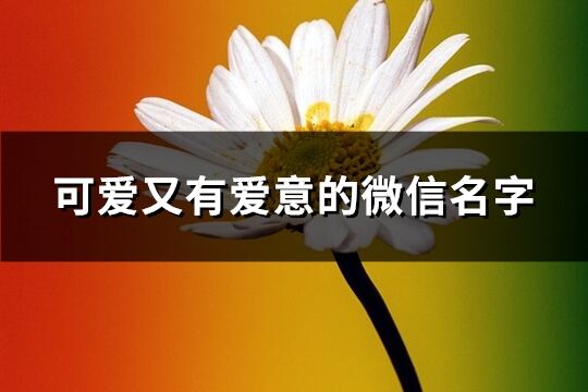 可爱又有爱意的微信名字(优选638个)