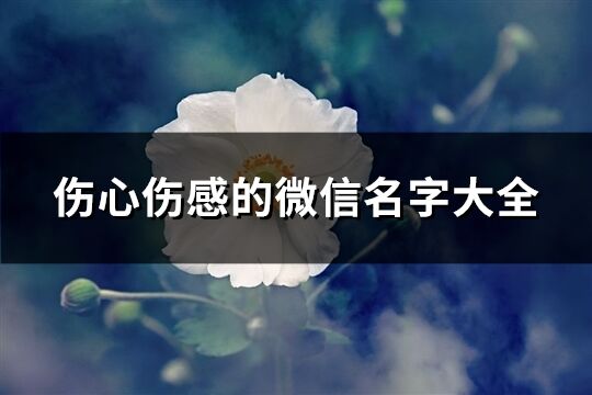 伤心伤感的微信名字大全(共247个)