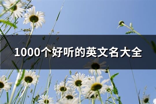 1000个好听的英文名大全(共135个)