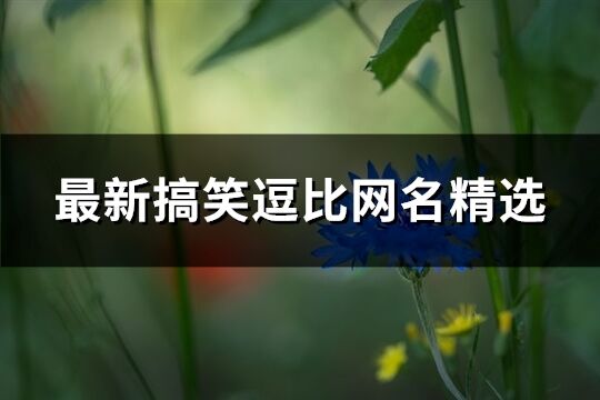 最新搞笑逗比网名精选(优选476个)