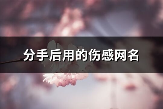 分手后用的伤感网名(精选377个)