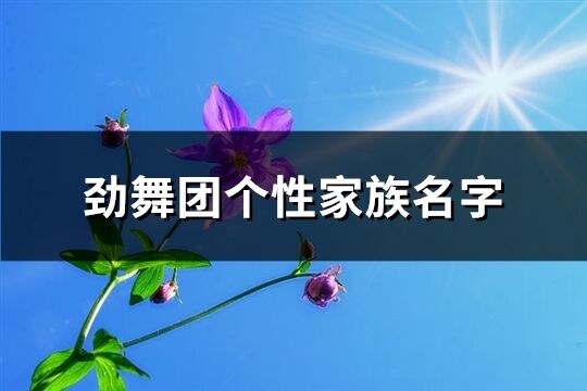 劲舞团个性家族名字(共88个)