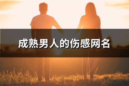 成熟男人的伤感网名(共671个)